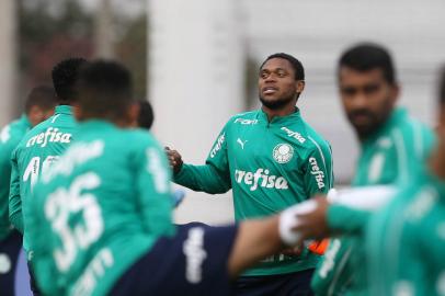 Luiz Adriano, Futebol, Palmeiras