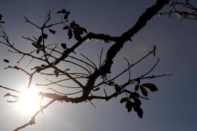  CAXIAS DO SUL, RS, BRASIL (21/08/2019)Esgoto a céu aberto na rua Clóvis Bevilaqua, 1590 em Caxias do Sul. (Antonio Valiente/Agência RBS)