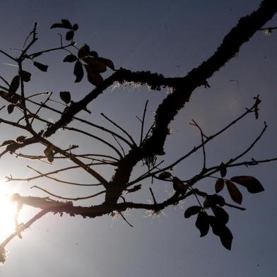  CAXIAS DO SUL, RS, BRASIL (21/08/2019)Esgoto a céu aberto na rua Clóvis Bevilaqua, 1590 em Caxias do Sul. (Antonio Valiente/Agência RBS)