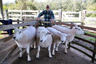  CAPÃO DA PORTEIRA- RS- BRASIL- 16/08/2019-  Fazenda Posto Velho- Cabanha Janda- Proprietário Luiz Fernando Nunes,  participará da Expointer 2019  com quatro ovelhas da raça Texel.  FOTO FERNANDO GOMES/ ZERO HORA.