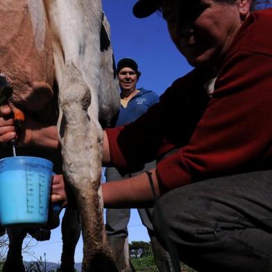 NOVA PETRÓPOLIS, RS, BRASIL, 21/08/2019 - Produtores reclamam da queda e do baixo preço pago pelo leite. NA FOTO: propriedade de Jocemir e Gessi Boone, produtores de leite de Nova Petrópolis. (Marcelo Casagrande/Agência RBS)