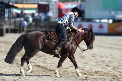  Freio de Ouro Expointer 2019. (Foto: Isadora Neumann/Agencia RBS)