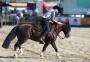 Cavalo conquista maior nota da história do Freio de Ouro