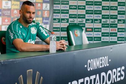 futebol, weverton, palmeiras, goleiro