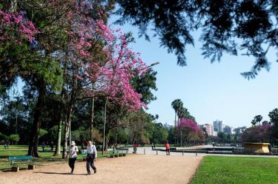  PORTO ALEGRE, RS, BRASIL, 28/08/2019: Fotos no parque farroupilha para matéria do tempo. (Foto: Omar Freitas / Agência RBS)Indexador: NGS