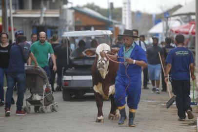  ESTEIO, RS, BRASIL - 2019.08.26 - A Expointer é a fusão do campo e cidade no mesmo espaço. Zeumar Souza da Silva, é cabanheiro em Bagé, da cabanha Santa Helena. A Expointer é a mistura do campo, que está acostumado, com a cidade. (Foto: ANDRÉ ÁVILA/ Agência RBS)