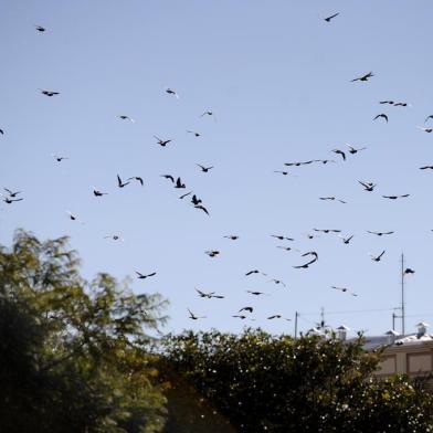  CAXIAS DO SUL, RS, BRASIL (05/08/2019)Baixas temperaturas e sol no centro de Caxias do Sul. (Antonio Valiente/Agência RBS)