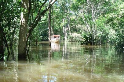 Caminhos de água em meio à Floresta Amazônica, em Manaus.