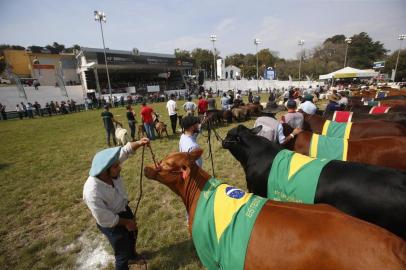  ESTEIO, RS, BRASIL - 2019.08.30 - Evento com autoridades para o desfile dos campeões, na Expointer. Estavam presentes a ministra da Agricultura, Pecuária e Abastecimento, Tereza Cristina e o governador do Estado do RS, Eduardo Leite. (Foto: ANDRÉ ÁVILA/ Agência RBS)