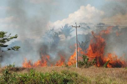  **A PEDIDO DE RAFAEL OCANA**Incêndios na Amazônia (FOTO: Esio Mendes/Fotos Públicas)