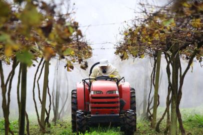  PORTO ALEGRE - RS - BR - 04.06.2019Aplicação de agrotóxicos em uma plantação de uvas.FOTÓGRAFO: TADEU VILANI AGÊNCIARBS EDITORIA CAMPO E LAVOURA