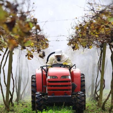  PORTO ALEGRE - RS - BR - 04.06.2019Aplicação de agrotóxicos em uma plantação de uvas.FOTÓGRAFO: TADEU VILANI AGÊNCIARBS EDITORIA CAMPO E LAVOURA