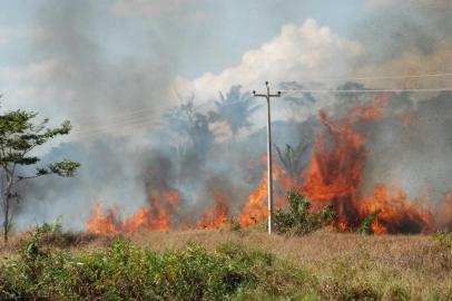  **A PEDIDO DE RAFAEL OCANA**Incêndios na Amazônia (FOTO: Esio Mendes/Fotos Públicas)