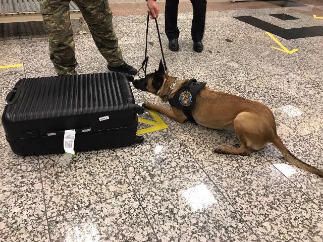 Polícia Federal / Divulgação