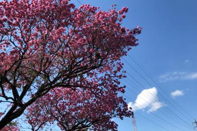 tempo, clima, sol