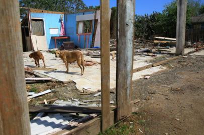  PORTO ALEGRE, RS, BRASIL, 03/09/2019- Após remoção de moradores da Ilha dos Marinheiros, centenas de cães (segundo relatos) ficaram abandonados na região. (FOTOGRAFO: TADEU VILANI / AGENCIA RBS)