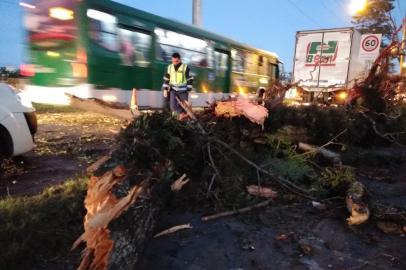 ¿?rvore cai sobre pistas da Avenida Ipiranga, em Porto Alegre