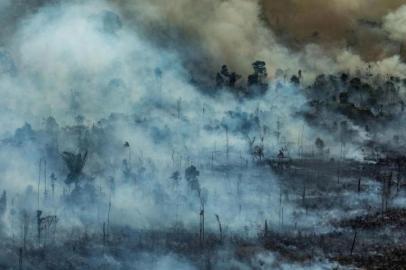 Foto para coluna Claudia TajesAmazônia