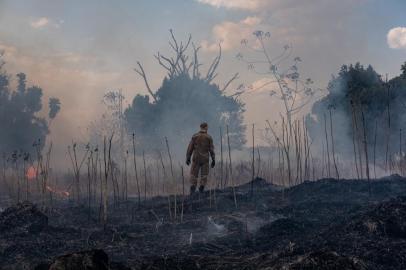 Handout picture released by the Communication Department of the State of Mato Grosso showing a firefighter combating a fire in the Amazon basin in the municipality Sorriso, Mato Grosso State, Brazil, on August 26, 2019. (Photo by Mayke TOSCANO / Mato Grosso State Communication Department / AFP) / RESTRICTED TO EDITORIAL USE - MANDATORY CREDIT AFP PHOTO / MATO GROSSO STATE COMMUNICATION DEPARTMENT / MAYKE TOSCANO - NO MARKETING - NO ADVERTISING CAMPAIGNS - DISTRIBUTED AS A SERVICE TO CLIENTS