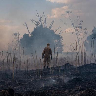 Handout picture released by the Communication Department of the State of Mato Grosso showing a firefighter combating a fire in the Amazon basin in the municipality Sorriso, Mato Grosso State, Brazil, on August 26, 2019. (Photo by Mayke TOSCANO / Mato Grosso State Communication Department / AFP) / RESTRICTED TO EDITORIAL USE - MANDATORY CREDIT AFP PHOTO / MATO GROSSO STATE COMMUNICATION DEPARTMENT / MAYKE TOSCANO - NO MARKETING - NO ADVERTISING CAMPAIGNS - DISTRIBUTED AS A SERVICE TO CLIENTS