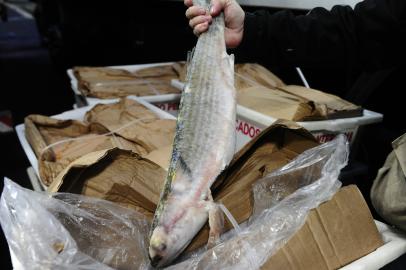 peixe no mercado público