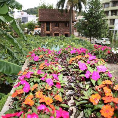 Casa de Pedra recebe ajardinamento com flores.