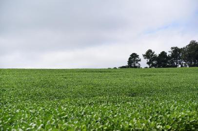  PASSO FUNDO, RS, BRASIL,27/02/2019-   Reforma da Previdência no campo em Passo Fundo.  (Foto: Diogo Zanatta / Divulgação)