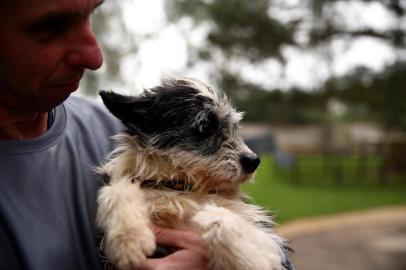  PORTO ALEGRE, RS, BRASIL - Unidade de Saúde Animal Victória (Usav). Os animais albergados chegam à Unidade de Saúde Animal Victória (Usav) da prefeitura vítimas de maus tratos, alguns abandonados pelos próprios tutores que os deixaram para tratamento. Antes de serem liberados para adoção, são vacinados, desverminados, castrados e microchipados. A Smams ainda assegura atendimento gratuito vitalício. Aqueles mais idosos, ou com deficiências físicas, além das consultas clínicas e vacinas anuais, terão direito à cirurgia caso necessário. Na imagem o cachorro Taz.