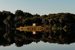 Cipó de Jabuti / Divulgação