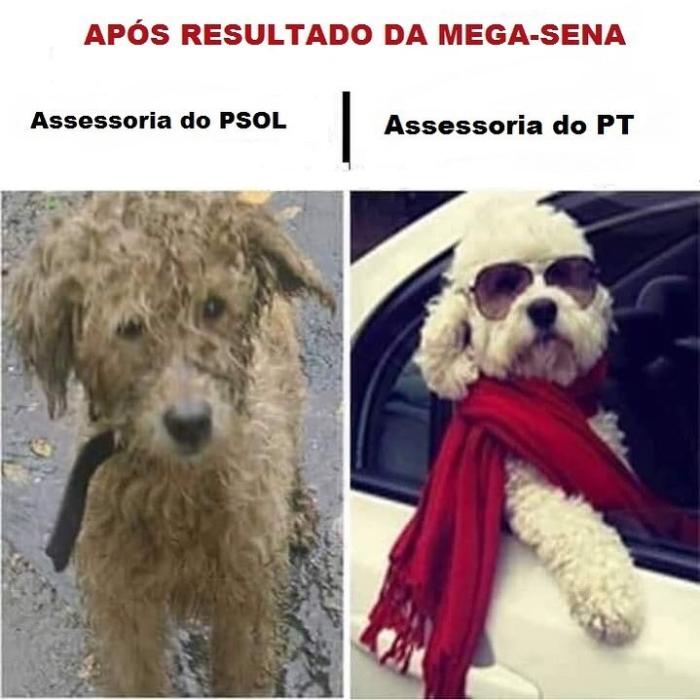 Reprodução / WhatsApp