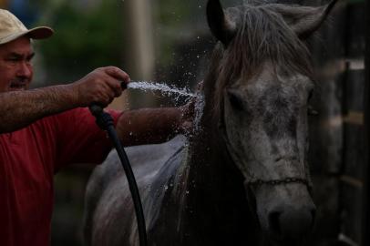  PORTO ALEGRE, RS, BRASIL, 19/09/2019- Preparativos no Acampamento Farroupilha para os desfile de 20 de Setembro. (FOTOGRAFO: JEFFERSON BOTEGA / AGENCIA RBS)