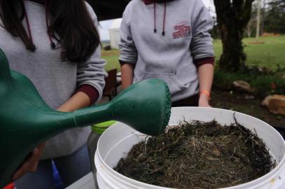 CAXIAS DO SUL, RS, BRASIL (19/09/2019)Estudantes da Escola Família Agrícola da Serra (Efaserra) criaram um modelo de composteira para compostagem urbana. O projeto será apresentado na Feira Ecológica de Caxias do Sul.A ação é coordenada pela professora Heloísa Camello, dentro da disciplina de agroecologia e ecossistemas, produção vegetal e solos e adubação.Os estudantes participantes: Renata Lozz, 15, de Boa Vista do Sul; Eduardo Klein, 16, Feliz; e Flávia Bernardi Rankrappes, 16, de Caxias do Sul. (Antonio Valiente/Agência RBS)