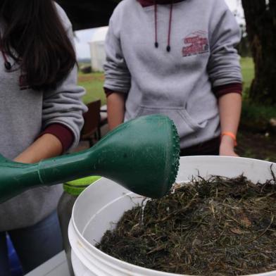 CAXIAS DO SUL, RS, BRASIL (19/09/2019)Estudantes da Escola Família Agrícola da Serra (Efaserra) criaram um modelo de composteira para compostagem urbana. O projeto será apresentado na Feira Ecológica de Caxias do Sul.A ação é coordenada pela professora Heloísa Camello, dentro da disciplina de agroecologia e ecossistemas, produção vegetal e solos e adubação.Os estudantes participantes: Renata Lozz, 15, de Boa Vista do Sul; Eduardo Klein, 16, Feliz; e Flávia Bernardi Rankrappes, 16, de Caxias do Sul. (Antonio Valiente/Agência RBS)