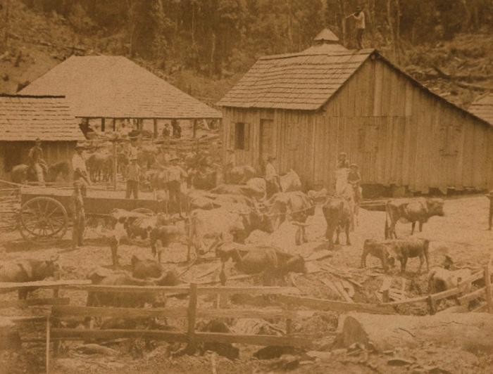 Arquivo Histórico Municipal João Spadari Adami / divulgação