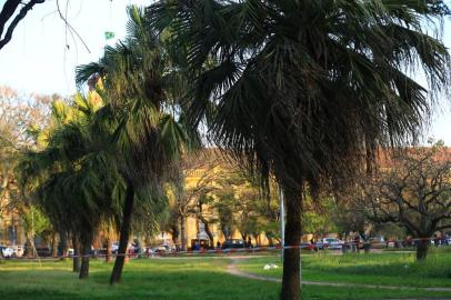  PORTO ALEGRE - RS - BR - 28.09.2019Área isolada no parque Redenção, devido a enxame de abelhas.FOTÓGRAFO: TADEU VILANI - AGÊNCIARBS