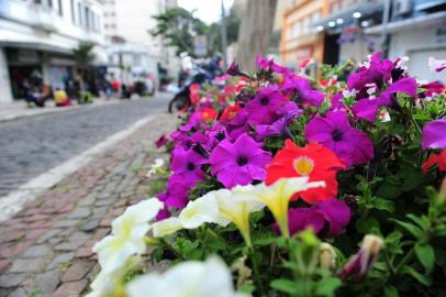  CAXIAS DO SUL, RS, BRASIL, 27/09/2019. Com a chegada da primavera intensifican-se os casos de alergias. Fotos gerais de flores, ipês, no centro da cidade. (Porthus Junior/Agência RBS)