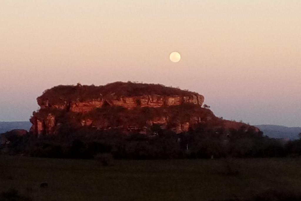 Turismo Ufológico: roteiros de viagem em busca de alienígenas - Sundaycooks