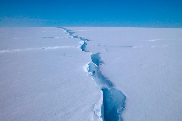 Richard Coleman / Australian Antartic Division/ AFP