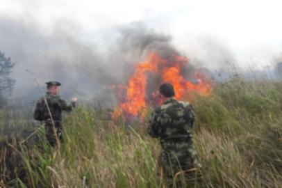  Equipes dos Bombeiros, Polícia Ambiental, IMA e Defesa Civil atuam no combate às chamas na área localizada em Palhoça, na Grande Florianópolis