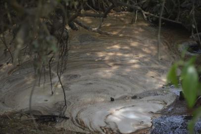 Vazamento em empresa causa morte de peixes e pássaros em Campo Bom