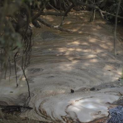 Vazamento em empresa causa morte de peixes e pássaros em Campo Bom