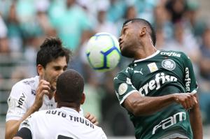 Palmeiras / Divulgação