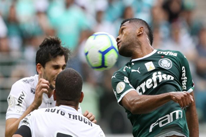 Palmeiras / Divulgação