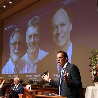  Thomas Perlmann (R), the Secretary of the Nobel Committee, speaks as the winners are announced of the 2019 Nobel Prize in Physiology or Medicine during a press conference at the Karolinska Institute in Stockholm, Sweden, on October 7, 2019. - US researchers William Kaelin and Gregg Semenza and Britains Peter Ratcliffe won the Nobel Medicine Prize for discoveries on how cells sense and adapt to oxygen availability, the Nobel Assembly said. (Photo by Jonathan NACKSTRAND / AFP)Editoria: HUMLocal: StockholmIndexador: JONATHAN NACKSTRANDSecao: medicineFonte: AFPFotógrafo: STR