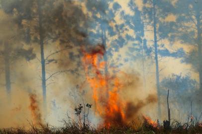  PALHOÇA, SC, BRASIL, 11/09/2019: Bombeiros realizam uma força-tarefa para controlar o incêndio que atinge o Parque Estadual da Serra do Tabuleiro, na Grande Florianópolis, desde terça-feira (10). O fogo, que dura mais de 24 horas, já consumiu cerca de 2,5 mil metros quadrados de área de vegetação.(Foto: Gabriel Lain/Diário Catarinense)