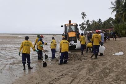 Retirada de Ã³leo que atingiu a praia de Carneiros (PE)TAMANDARÉ, PE, 18.0.2019 - ÓLEO-CARNEIROS-PE - Funcionários da Prefeitura de Tamandaré, no estado de Pernambuco, trabalham na retirada de óleo da praia de Carneiros, cartão postal do estado, nesta sexta-feira(18). (Foto: Carlos Ezequiel Vannoni/Agência Pixel Press/Folhapress)Local: TamandarÃ© ;Pernambuco ;Brasil