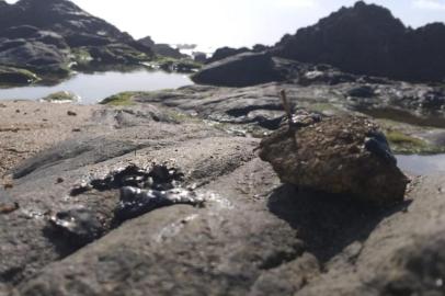  SALVADOR, BA, BRASIL, 11/10/2019- Prefeitura se mobiliza para retirada de manchas de óleo em praias de Salvador. (Fato: Igor Santos / Divulgação / Secom)