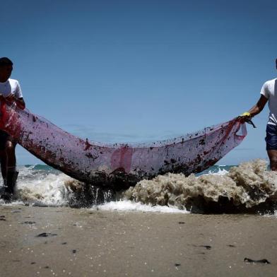  Volunteers are seen removing oil spilled on Paiva beach located in the city of Cabo de Santo Agostinho, Pernambuco state, Brazil, on October 21, 2019. - Large blobs of oil staining more than 130 beaches in northeastern Brazil began appearing in early September and have now turned up along a 2,000km stretch of the Atlantic coastline. The source of the patches remain a mystery despite President Jair Bolsonaros assertions they came from outside the country and were possibly the work of criminals. (Photo by LEO MALAFAIA / AFP)Editoria: ENVLocal: Cabo de Santo AgostinhoIndexador: LEO MALAFAIASecao: environmental pollutionFonte: AFPFotógrafo: STR