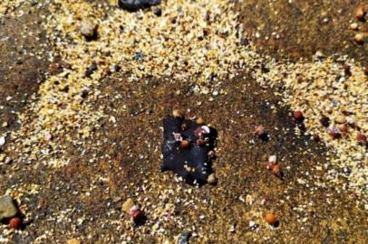 Fragmentos de óleo foram encontrados na Ilha de Santa Bárbara, no Parque Nacional de Abrolhos, neste sábado (2).