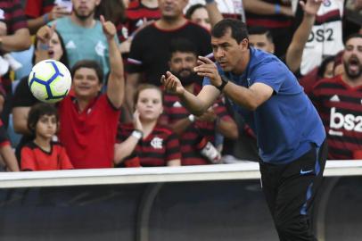 RIO DE JANEIRO, RJ - 03.11.2019: FLAMENGO X CORINTHIANS - Técnico Fábio Carille durante Flamengo x Corinthians  partida válida pela 30ª rodada do Campeonato Brasileiro, realizada no Estádio do Maracanã, localizado na cidade do Rio de Janeiro, na tarde deste domingo (03). (Foto: Celso Pupo/Fotoarena/Lancepress!)